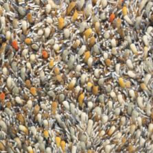 Spring 59103 rug by Brink