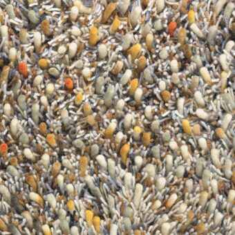 Spring 59103 rug by Brink