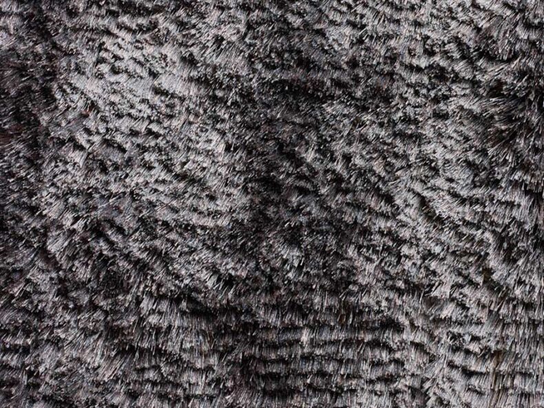Singapore Platinum 16941 rug by ITC