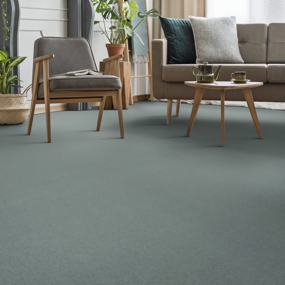 Lior carpet by SmartStrand