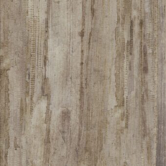 View of Tropical Forest - Havana luxury vinyl tile by Invictus
