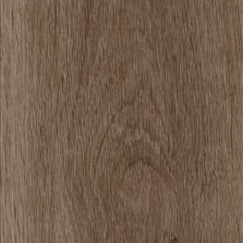View of Highland Oak - Chocolate (Maximus) luxury vinyl tile by Invictus