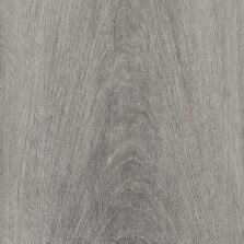 View of Royal Oak - Nordic luxury vinyl tile by Invictus