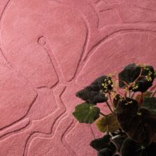 Romantic Magnolia Pink 162702 rug by Ted Baker