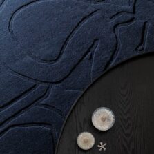 Romantic Magnolia Dark Blue 162708 rug by Ted Baker