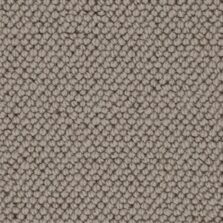 Memphis 007 carpet by Hammer Carpets