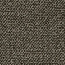 Memphis 008 carpet by Hammer Carpets