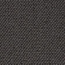 Memphis 009 carpet by Hammer Carpets