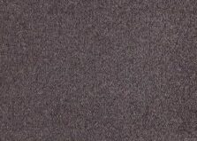 Patina 080 Purple carpet by SmartStrand