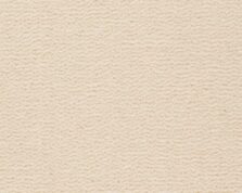 Tasman 103 carpet by Best Wool