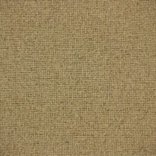 Centre Point 121 Ivory carpet by Edel Telenzo Carpets