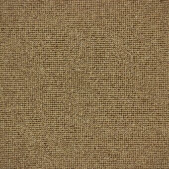 Centre Point 142 Biscuit carpet by Edel Telenzo Carpets
