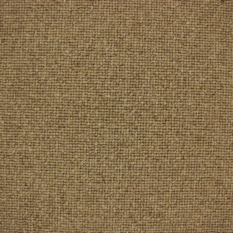 Centre Point 142 Biscuit carpet by Edel Telenzo Carpets