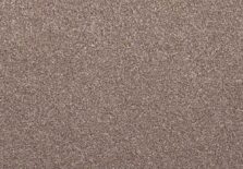 Fairfield Supreme 220 Acorn carpet by Lano