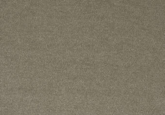 Pleasure 220 Acorn carpet by Lano