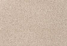 Romance 221 Shoreline carpet by SmartStrand