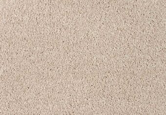 Romance 221 Shoreline carpet by SmartStrand