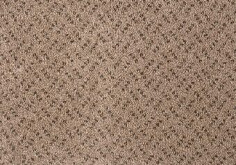 Scala Classic 230 Flax carpet by Lano