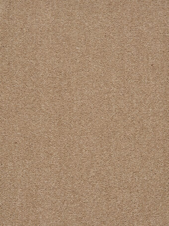 Traviata 230 Flax carpet by Lano
