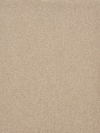 Traviata 250 Magnolia carpet by Lano
