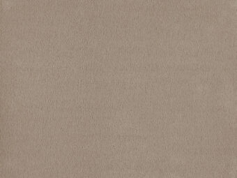 Bergamo 251 Magnolia 1 carpet by Lano