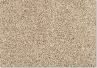 Euphoria 260 Camel carpet by Lano