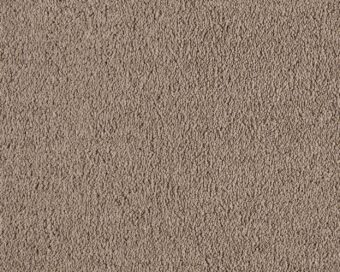 Boheme 260 Camel carpet by SmartStrand