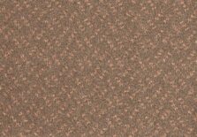 Scala Classic 261 Camel 1 carpet by Lano