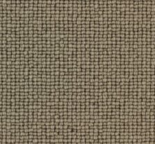 Chelsea 314 Putty carpet by Edel Telenzo Carpets