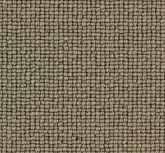 Chelsea 314 Putty carpet by Edel Telenzo Carpets