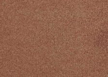 Patina 330 Apricot carpet by SmartStrand