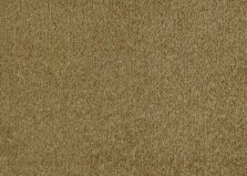 Patina 370 Gold Leaf carpet by SmartStrand