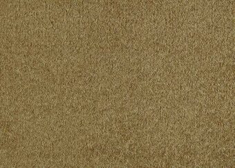 Patina 370 Gold Leaf carpet by SmartStrand