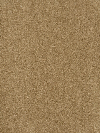 Traviata 380 Bronze carpet by Lano