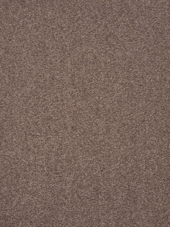 Traviata 420 Cornstalk carpet by Lano