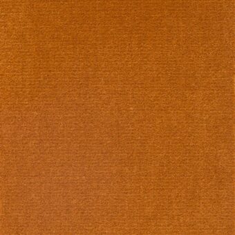 Richelieu Velours 4303 carpet by Louis De Poortere