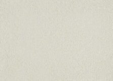 Patina 440 Ivory carpet by SmartStrand