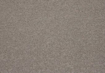 Freedom 460 Hazelnut carpet by SmartStrand
