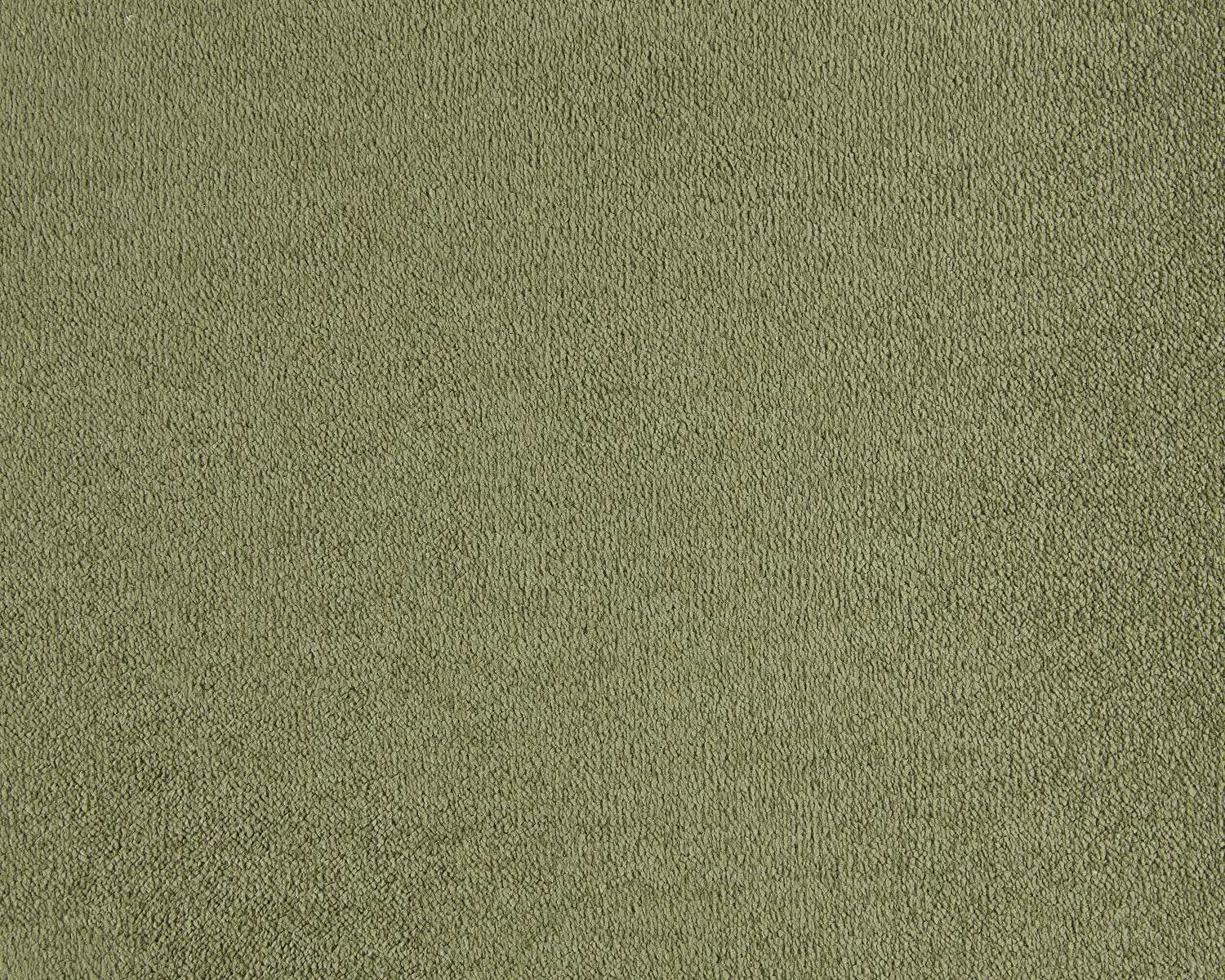 Lior 480 Barley carpet by SmartStrand