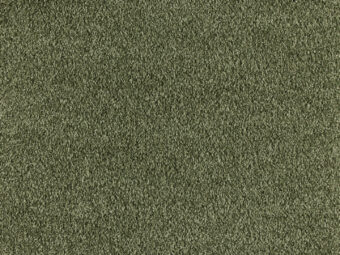 Euphoria 481 Barley carpet by Lano