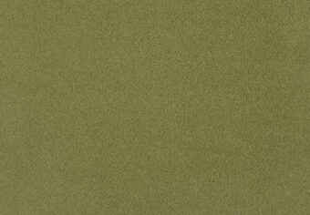 Zen 511 Grass 1 carpet by Lano