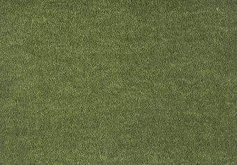 Dream 591 Moss 1 carpet by SmartStrand