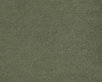 Lior 610 Ivy carpet by SmartStrand