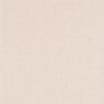 Richelieu Velours 7011 carpet by Louis De Poortere