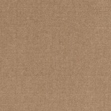 Richelieu Velours 7014 carpet by Louis De Poortere