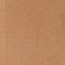 Richelieu Velours 7294 carpet by Louis De Poortere