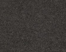 Boheme 810 Charcoal carpet by SmartStrand