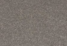 Fairfield Supreme 830 Ash carpet by Lano