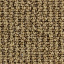 Kings Cross 837 Foal carpet by Edel Telenzo Carpets