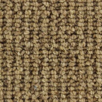 Kings Cross 837 Foal carpet by Edel Telenzo Carpets